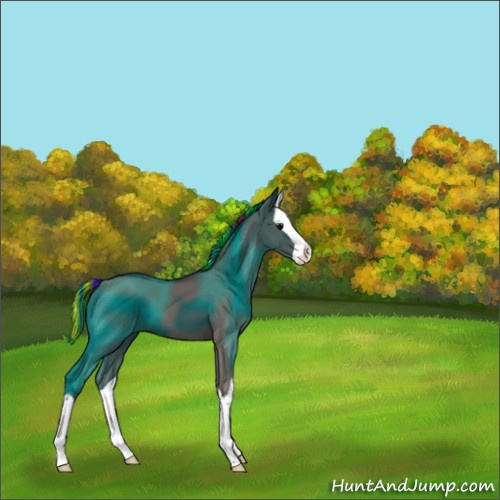 Horse Color:Painted Grullo Splash 