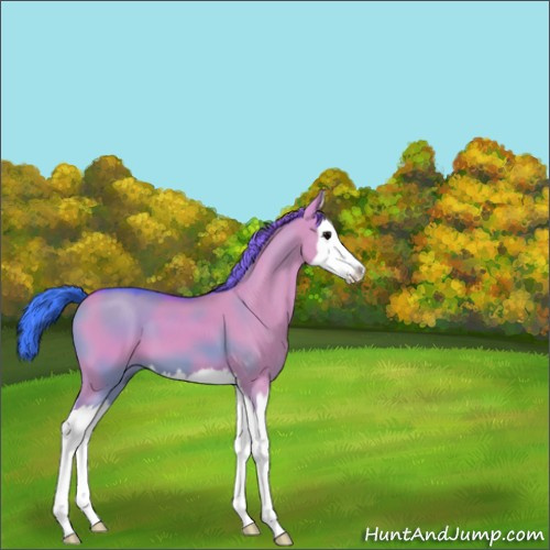 Horse Color:Watercolor Grullo Sabino Splash 