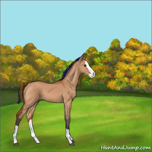 Horse Color:Painted Bay Dun Splash 