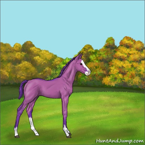 Horse Color:Watercolor Grullo Sabino Splash 