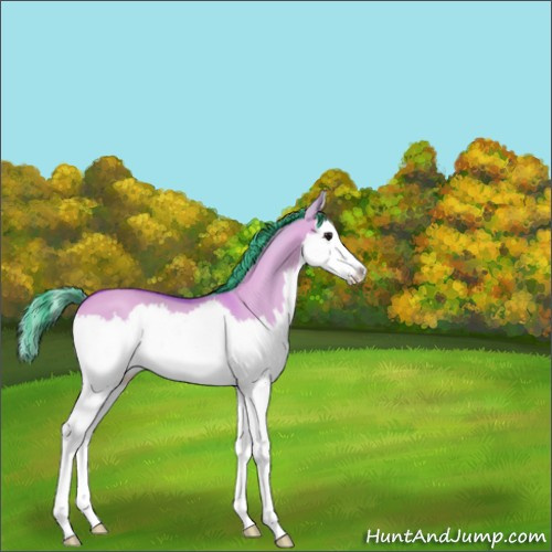 Horse Color:Watercolor Bay Dun Splash 
