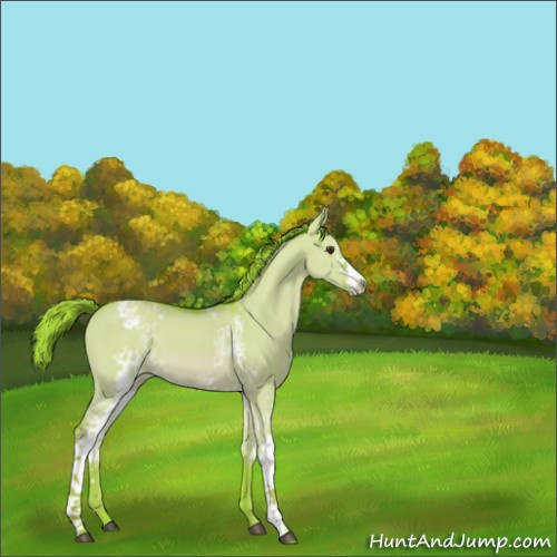 Horse Color:Watercolor White Spotted Red Dun 