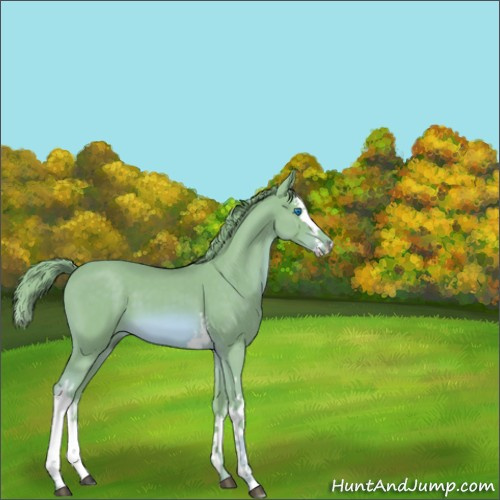 Horse Color:Watercolor White Spotted Chestnut Splash 