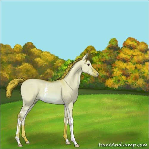 Horse Color:Watercolor White Spotted Red Dun 