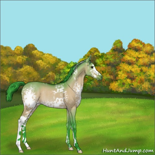 Horse Color:Watercolor White Spotted Bay Dun Sabino Rabicano 