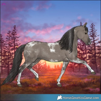 Horse Color:Smoky Grullo Tobiano Rabicano