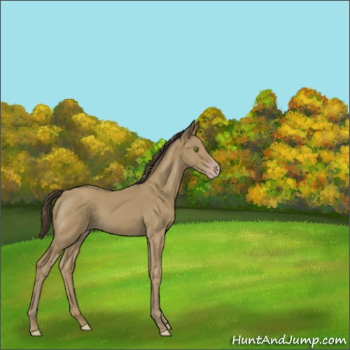 Horse Color:Classic Cream Champagne 