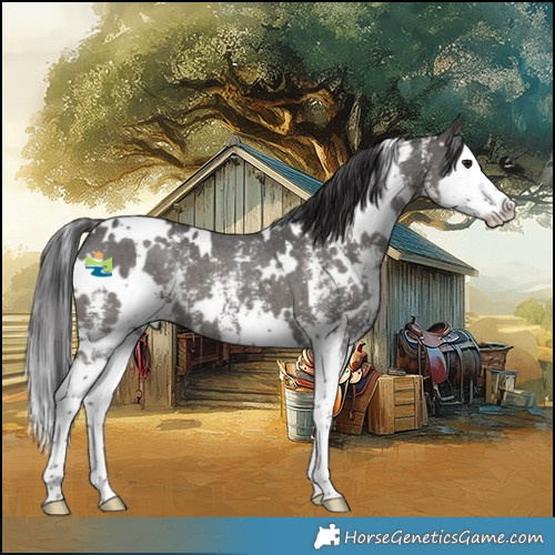 Horse Color:White Spotted Smoky Black Sabino Splash 