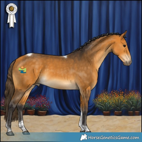Horse Color:Buckskin Tobiano 