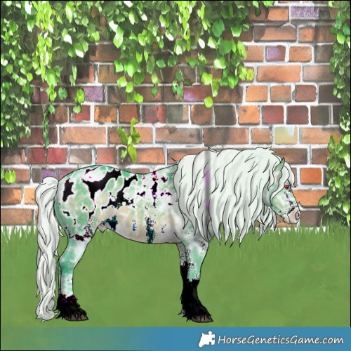 Horse Color:Watercolor White Spotted Silver Brown Chinchilla Ice Appaloosa 