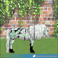Horse Color:Watercolor White Spotted Silver Brown Chinchilla Ice Appaloosa