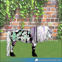 Horse Color:Watercolor White Spotted Silver Brown Chinchilla Ice Appaloosa 