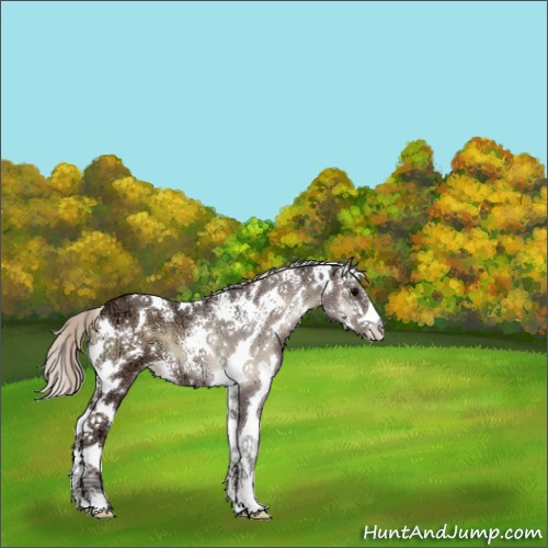 Horse Color:White Spotted Silver Blue Onyx Ice Splash 