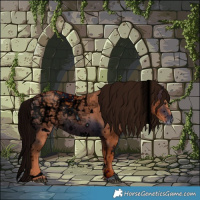 Horse Color:ERROR: UNKNOWN ANOMALY