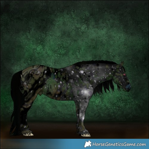 Horse Color:ERROR: UNKNOWN ANOMALY