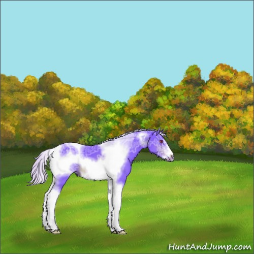 Horse Color:Watercolor Silver Brown Chinchilla Ice Sabino Tobiano Frame 