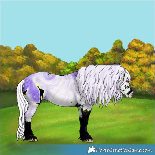 Horse Color:ERROR: UNKNOWN ANOMALY