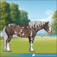 Horse Color:White Spotted Liver Chestnut Mushroom Sabino Splash Rabicano 