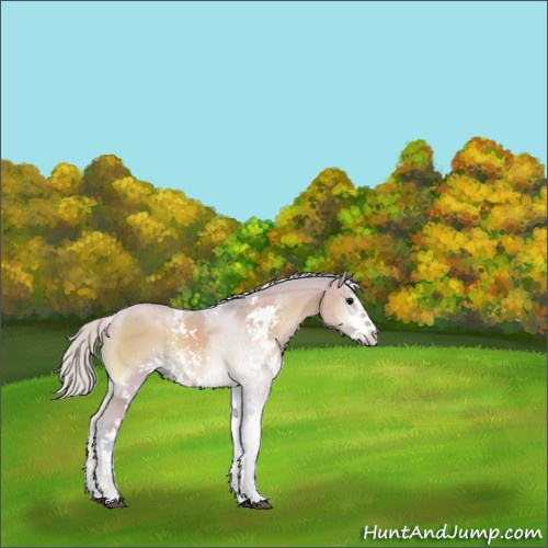 Horse Color:Watercolor Silver Blue Onyx Sabino 