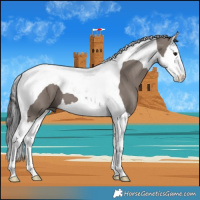 Horse Color:Smoky Grullo Splash Tobiano