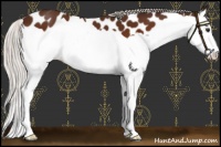 Horse Color:Silver Brown Splash Leopard 