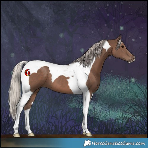 Horse Color:Silver Black Tobiano 