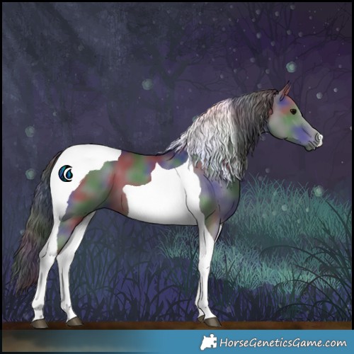 Horse Color:Nacre Black Tobiano 