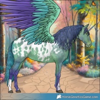 Horse Color:Watercolor Bay Dun Appaloosa 