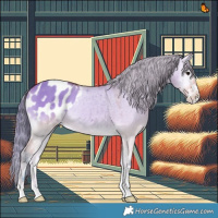 Horse Color:Watercolor Bay Onyx Appaloosa 