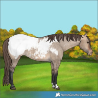 Horse Color:Bay Dun Near Fewspot Brindle 