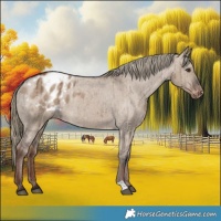 Horse Color:Liver Red Dun Varnish Brindle