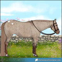 Horse Color:Liver Red Dun Blanket Brindle 