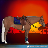 Horse Color:Silver Black Tobiano 