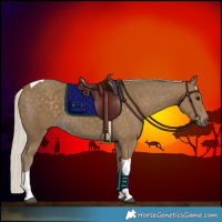 Horse Color:Silver Smoky Black Tobiano 