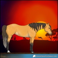 Horse Color:Buckskin 