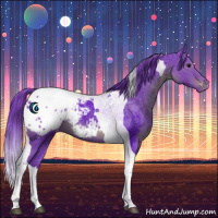 Horse Color:Watercolor Black Tobiano Appaloosa 