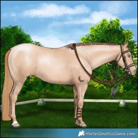 Horse Color:Gold Champagne Pearl