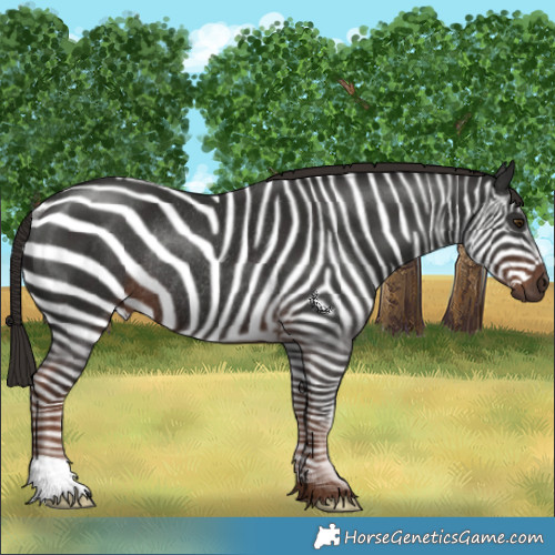 Horse Color:Liver Chestnut Rabicano 