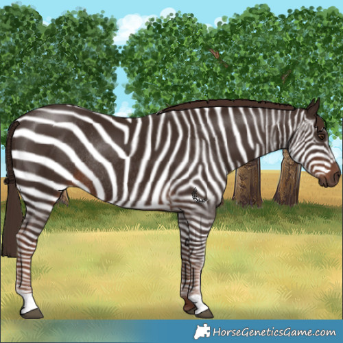 Horse Color:Liver Chestnut Rabicano 