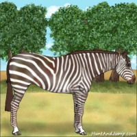 Horse Color:Liver Chestnut Rabicano