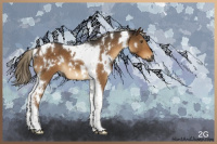 Horse Color:Gray White Spotted Chocolate Palomino Tobiano 