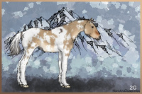 Horse Color:Gray White Spotted Liver Red Dun Tobiano 