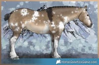 Horse Color:Gray White Spotted Brown Dun 