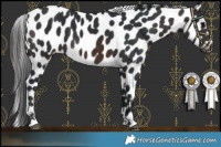 Horse Color:Brown Leopard 