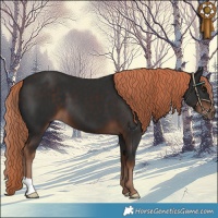 Horse Color:Liver Chestnut 