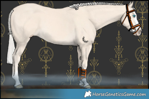 Horse Color:Cremello Splash  and Cremello Splash 