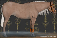 Horse Color:Silver Blue Roan Sabino 