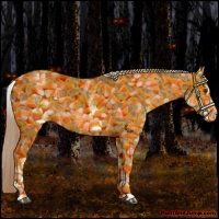 Horse Color:White Spotted Chestnut Sabino Varnish 