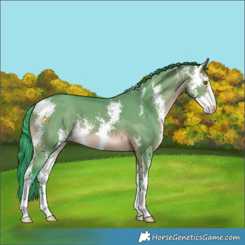 Horse Color:Watercolor Brown Dun Sabino 