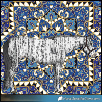 Horse Color:Black and White Spotted Black